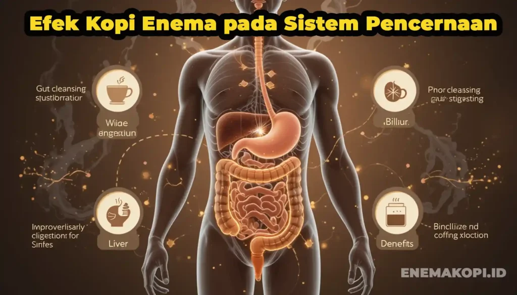 Efek Kopi Enema pada Sistem Pencernaan