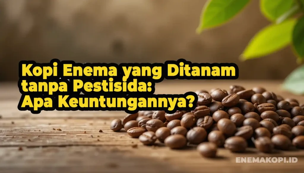 Kopi Enema yang Ditanam tanpa Pestisida Apa Keuntungannya