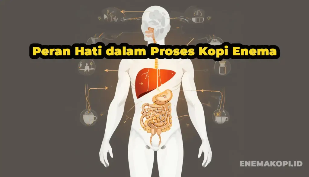 Peran Hati dalam Proses Kopi Enema